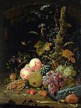 Still Life of a Forest Floor-Abraham Mignon-Giclee Print