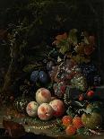 Still Life with Fruit and a Cup on Cocks Legs-Abraham Mignon-Art Print