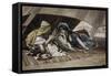 Abraham's Counsel to Sarah-James Tissot-Framed Stretched Canvas