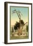 Abraham's Tree Mamreh on the West Bank-null-Framed Photo