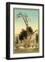 Abraham's Tree Mamreh on the West Bank-null-Framed Photo