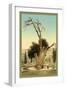 Abraham's Tree Mamreh on the West Bank-null-Framed Photo