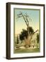 Abraham's Tree Mamreh on the West Bank-null-Framed Art Print