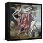Abraham Sacrificing Isaac-Domenichino-Framed Stretched Canvas