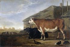 Cattle-Abraham van Calraet-Art Print