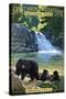 Abrams Falls - Great Smoky Mountains National Park, TN-Lantern Press-Stretched Canvas