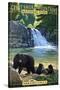 Abrams Falls - Great Smoky Mountains National Park, TN-Lantern Press-Stretched Canvas