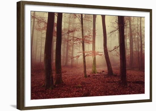 Absence of words-Philippe Sainte-Laudy-Framed Photographic Print