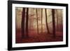 Absence of words-Philippe Sainte-Laudy-Framed Photographic Print