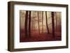 Absence of words-Philippe Sainte-Laudy-Framed Photographic Print