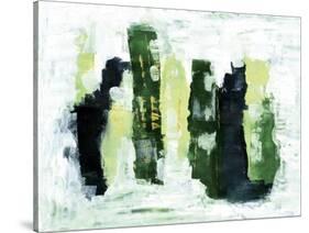 Abstract 1 Green-Summer Tali Hilty-Stretched Canvas