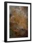 Abstract 12073-Pol Ledent-Framed Art Print