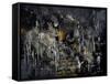 Abstract 184150-Pol Ledent-Framed Stretched Canvas