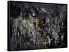 Abstract 184150-Pol Ledent-Framed Stretched Canvas