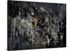 Abstract 184150-Pol Ledent-Stretched Canvas