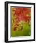 Abstract 304-Herb Dickinson-Framed Premium Photographic Print