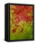 Abstract 304-Herb Dickinson-Framed Stretched Canvas