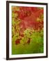 Abstract 304-Herb Dickinson-Framed Photographic Print