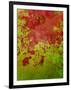 Abstract 304-Herb Dickinson-Framed Photographic Print