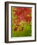 Abstract 304-Herb Dickinson-Framed Photographic Print