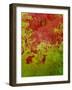 Abstract 304-Herb Dickinson-Framed Photographic Print