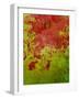 Abstract 304-Herb Dickinson-Framed Photographic Print