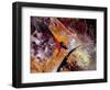 Abstract 45 Gen-Pol Ledent-Framed Art Print