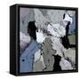 Abstract 555160-Pol Ledent-Framed Stretched Canvas