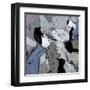 Abstract 555160-Pol Ledent-Framed Art Print