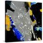Abstract 5561-Pol Ledent-Stretched Canvas