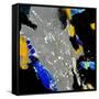 Abstract 5561-Pol Ledent-Framed Stretched Canvas