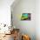Abstract 55-Sara Hayward-Stretched Canvas displayed on a wall