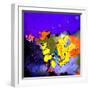 Abstract 6631014-Pol Ledent-Framed Art Print