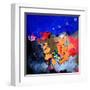 Abstract 66310151-Pol Ledent-Framed Art Print