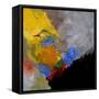 Abstract 7741201-Pol Ledent-Framed Stretched Canvas