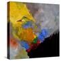 Abstract 7741201-Pol Ledent-Stretched Canvas