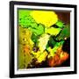 Abstract 775110602-Pol Ledent-Framed Art Print