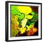 Abstract 775110602-Pol Ledent-Framed Art Print