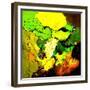 Abstract 775110602-Pol Ledent-Framed Premium Giclee Print