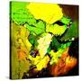 Abstract 775110602-Pol Ledent-Stretched Canvas