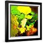 Abstract 775110602-Pol Ledent-Framed Art Print