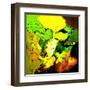 Abstract 775110602-Pol Ledent-Framed Art Print