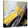 Abstract 77512043-Pol Ledent-Stretched Canvas