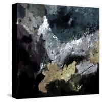 Abstract 7751304-Pol Ledent-Stretched Canvas