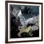 Abstract 7751304-Pol Ledent-Framed Art Print