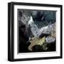 Abstract 7751304-Pol Ledent-Framed Art Print