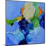 Abstract 77515050-Pol Ledent-Mounted Art Print