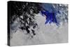 Abstract 785423-Pol Ledent-Stretched Canvas