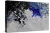 Abstract 785423-Pol Ledent-Stretched Canvas