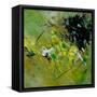Abstract 882121-Pol Ledent-Framed Stretched Canvas